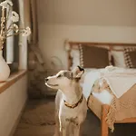 Miedzy Lasem, Polem A Jeziorem - Na Mazurach 펜션 기지크코