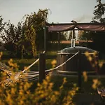 Miedzy Lasem, Polem A Jeziorem - Na Mazurach * 기지크코