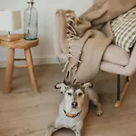 펜션 Miedzy Lasem, Polem A Jeziorem - Na Mazurach