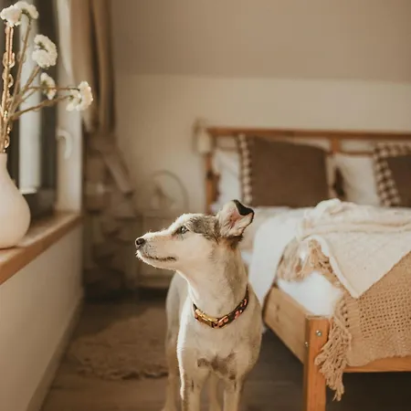 Miedzy Lasem, Polem A Jeziorem - Na Mazurach Prázdninový dům Bogaczewo (Gizycko)