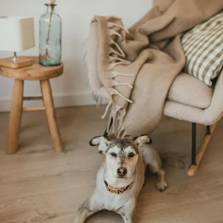 Prázdninový dům Miedzy Lasem, Polem A Jeziorem - Na Mazurach