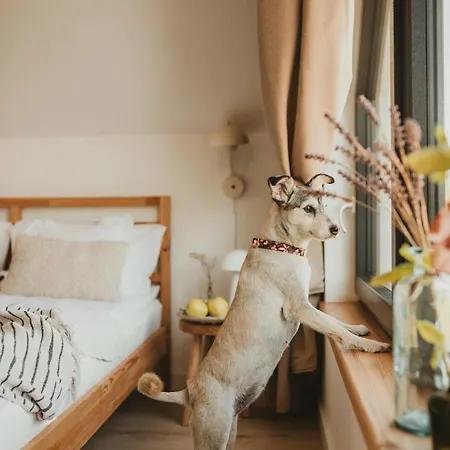 Miedzy Lasem, Polem A Jeziorem - Na Mazurach